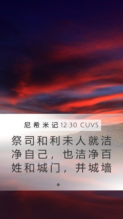 尼 希 米 记 12:30 CUVS Bible Verse Image