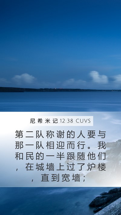 尼 希 米 记 12:38 CUVS Bible Verse Image