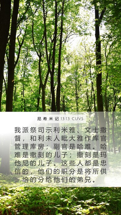 尼 希 米 记 13:13 CUVS Bible Verse Image