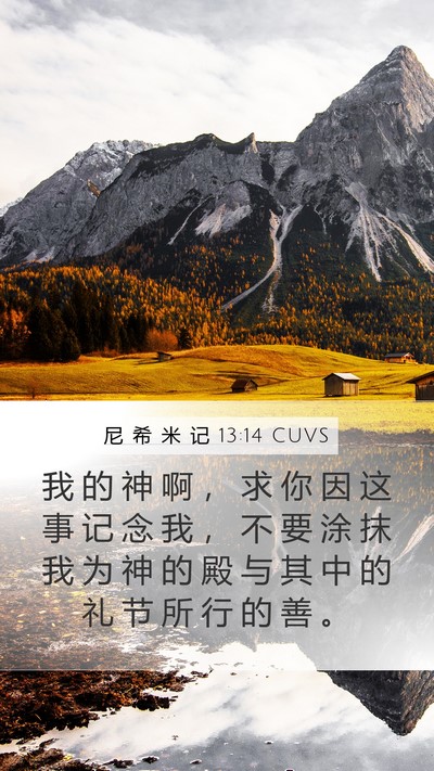 尼 希 米 记 13:14 CUVS Bible Verse Image