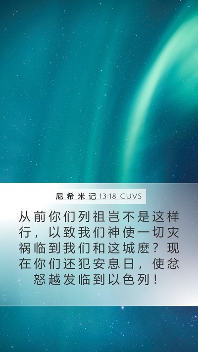 尼 希 米 记 13:18 CUVS Bible Verse Image