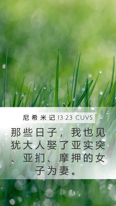 尼 希 米 记 13:23 CUVS Bible Verse Image