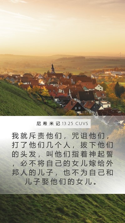 尼 希 米 记 13:25 CUVS Bible Verse Image