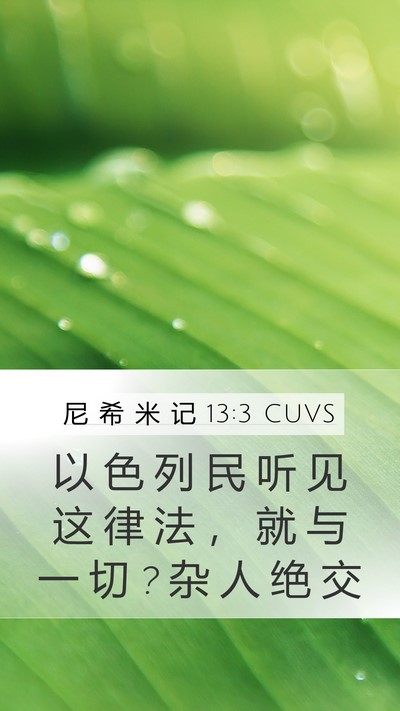尼 希 米 记 13:3 CUVS Bible Verse Image