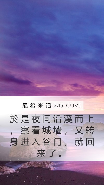 尼 希 米 记 2:15 CUVS Bible Verse Image