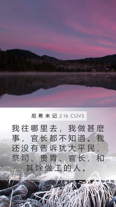 尼 希 米 记 2:16 CUVS Mobile Phone Wallpaper - 我 往 哪 里 去 ， 我 做 甚 麽 事 ， - Mobile Bible Verse Wallpaper