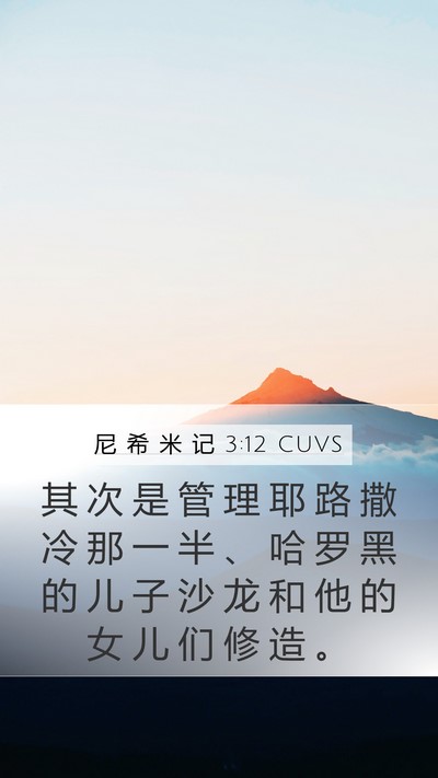 尼 希 米 记 3:12 CUVS Bible Verse Image