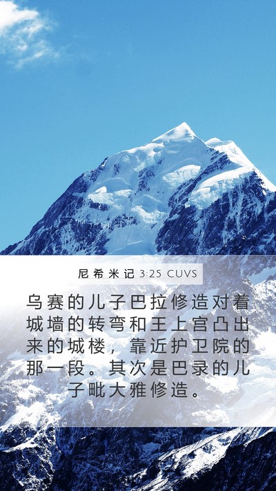 尼 希 米 记 3:25 CUVS Bible Verse Image