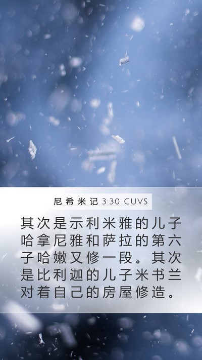 尼 希 米 记 3:30 CUVS Bible Verse Image