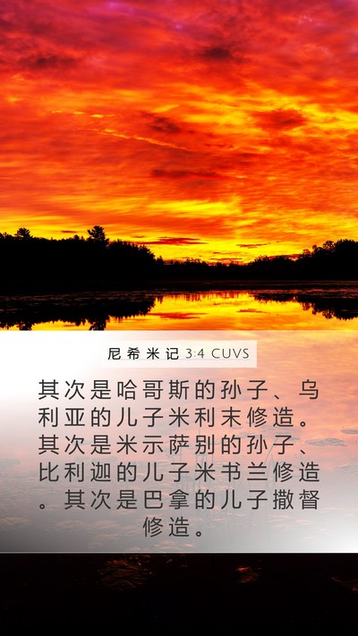 尼 希 米 记 3:4 CUVS Bible Verse Image