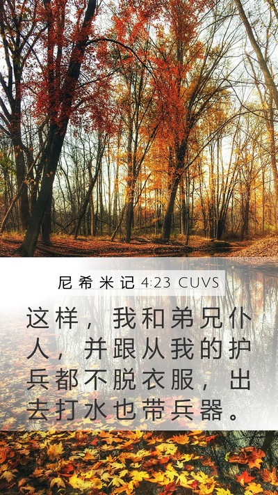 尼 希 米 记 4:23 CUVS Bible Verse Image