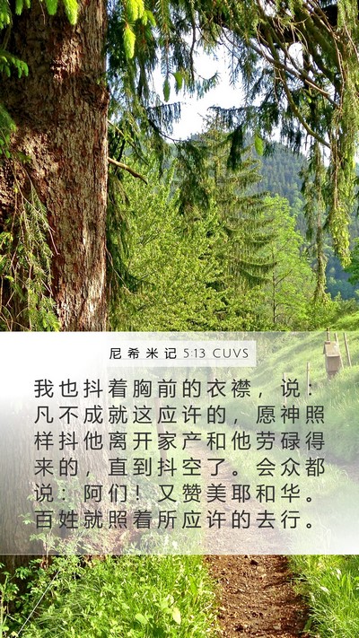 尼 希 米 记 5:13 CUVS Bible Verse Image