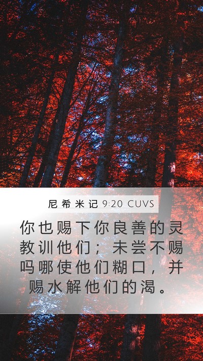尼 希 米 记 9:20 CUVS Bible Verse Image
