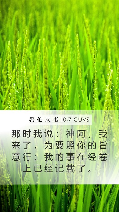 希 伯 来 书 10:7 CUVS Bible Verse Image