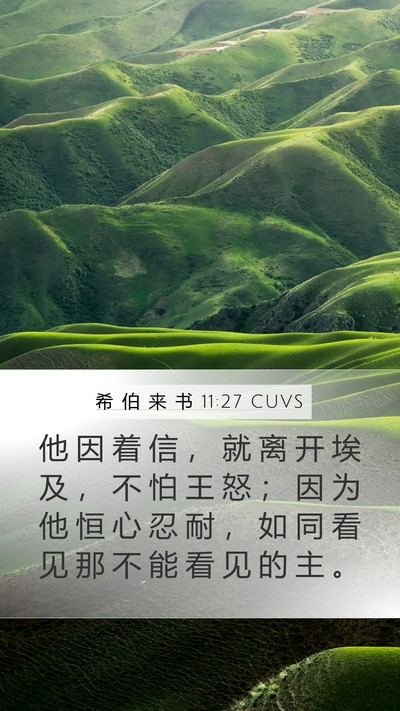 希 伯 来 书 11:27 CUVS Bible Verse Image