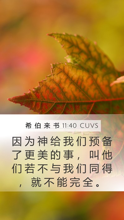 希 伯 来 书 11:40 CUVS Bible Verse Image