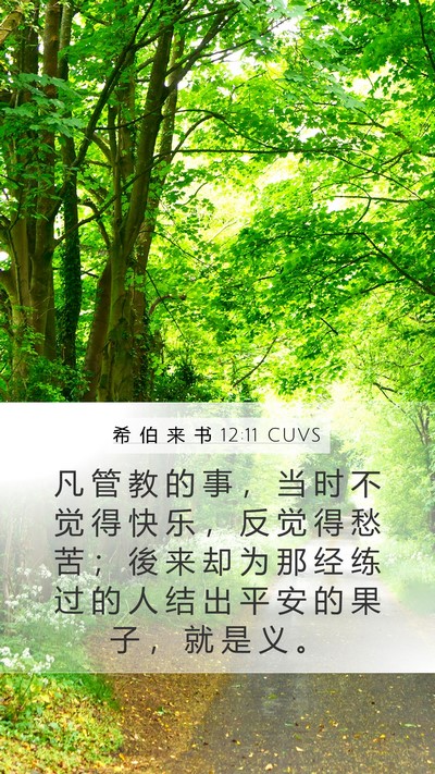 希 伯 来 书 12:11 CUVS Bible Verse Image