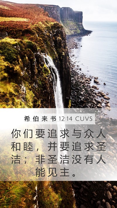 希 伯 来 书 12:14 CUVS Bible Verse Image