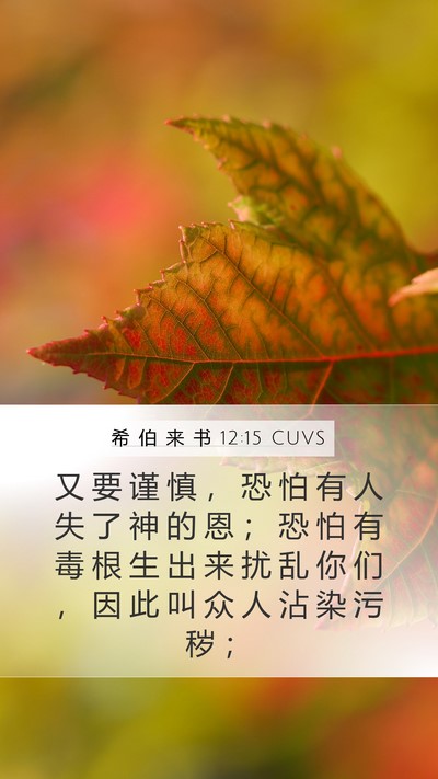 希 伯 来 书 12:15 CUVS Bible Verse Image