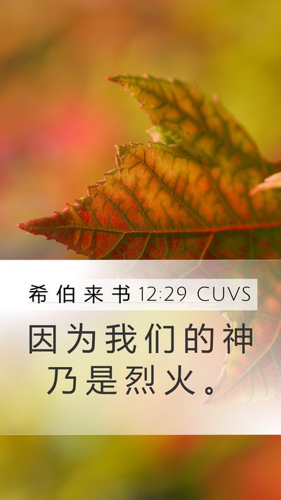 希 伯 来 书 12:29 CUVS Mobile Phone Wallpaper - 因 为 我 们 的 神 乃 是 烈 火 - Mobile Bible Verse Wallpaper