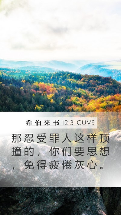 希 伯 来 书 12:3 CUVS Bible Verse Image