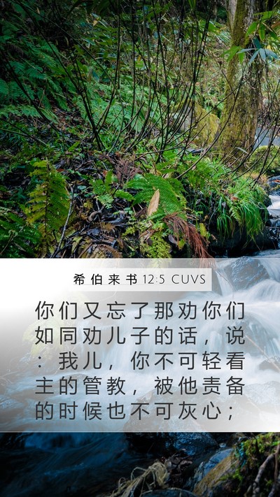 希 伯 来 书 12:5 CUVS Bible Verse Image