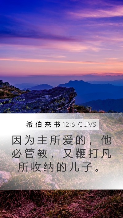 希 伯 来 书 12:6 CUVS Bible Verse Image
