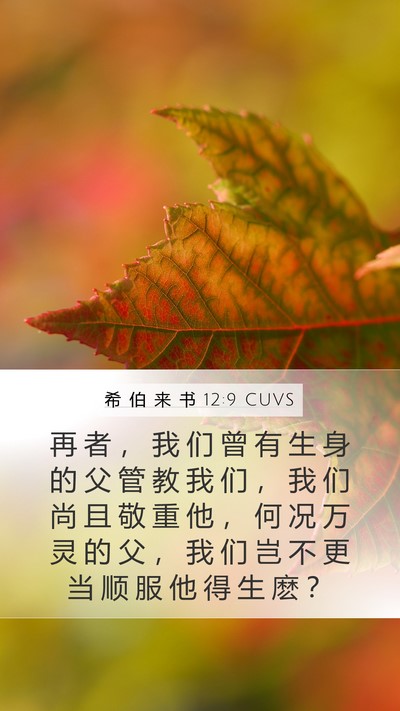 希 伯 来 书 12:9 CUVS Bible Verse Image
