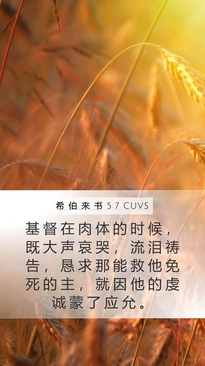 希 伯 来 书 5:7 CUVS Bible Verse Image