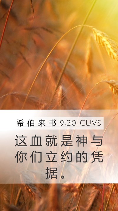 希 伯 来 书 9:20 CUVS Mobile Phone Wallpaper - 这 血 就 是 神 与 你 们 立 约 的 凭 - Mobile Bible Verse Wallpaper