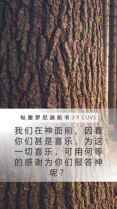 帖 撒 罗 尼 迦 前 书 3:9 CUVS Bible Verse Image