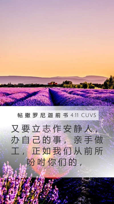 帖 撒 罗 尼 迦 前 书 4:11 CUVS Bible Verse Image