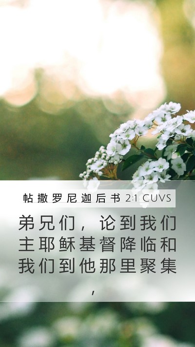 帖 撒 罗 尼 迦 后 书 2:1 CUVS Bible Verse Image