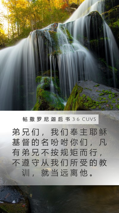 帖 撒 罗 尼 迦 后 书 3:6 CUVS Bible Verse Image