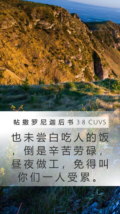 帖 撒 罗 尼 迦 后 书 3:8 CUVS Bible Verse Image