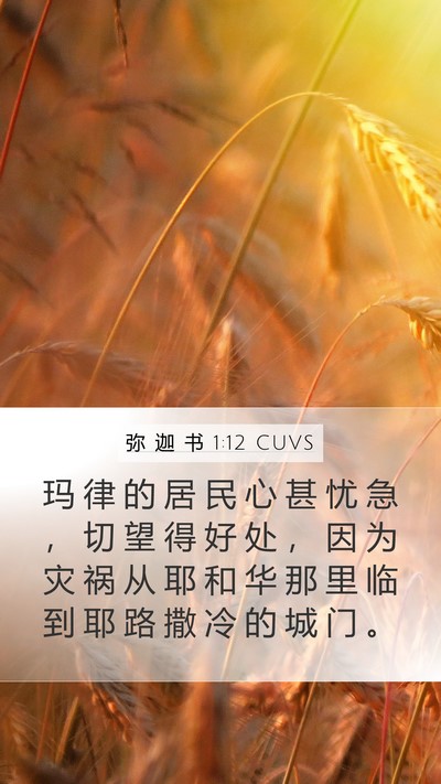 弥 迦 书 1:12 CUVS Bible Verse Image