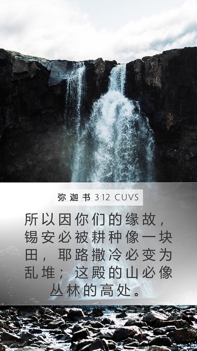 弥 迦 书 3:12 CUVS Bible Verse Image