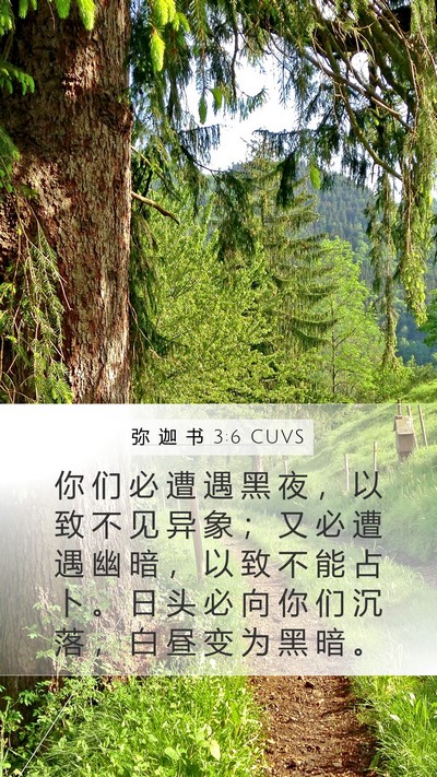 弥 迦 书 3:6 CUVS Bible Verse Image