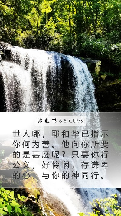 弥 迦 书 6:8 CUVS Bible Verse Image