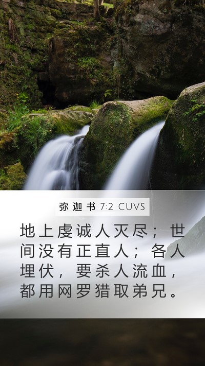 弥 迦 书 7:2 CUVS Bible Verse Image
