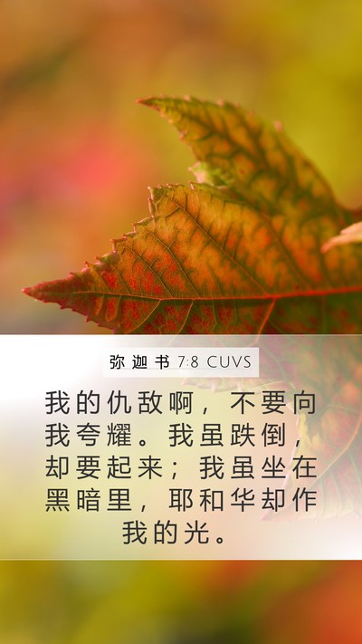 弥 迦 书 7:8 CUVS Bible Verse Image