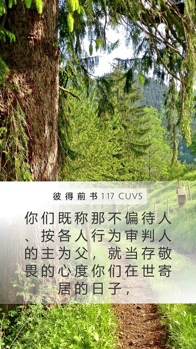 彼 得 前 书 1:17 CUVS Bible Verse Image