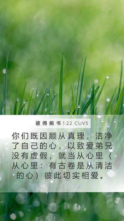 彼 得 前 书 1:22 CUVS Bible Verse Image
