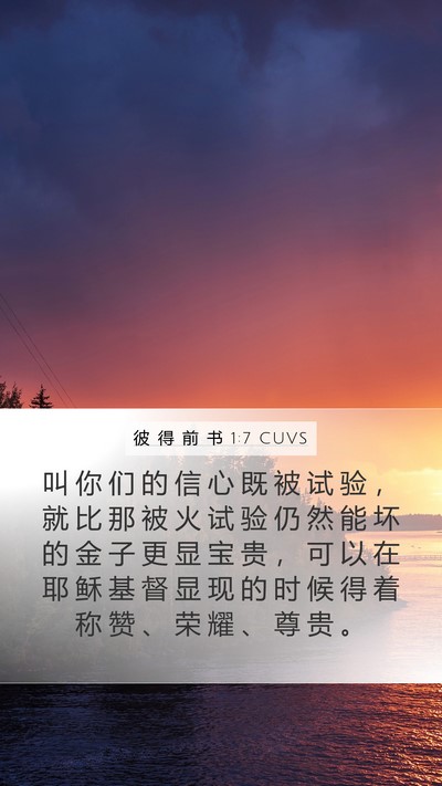 彼 得 前 书 1:7 CUVS Bible Verse Image