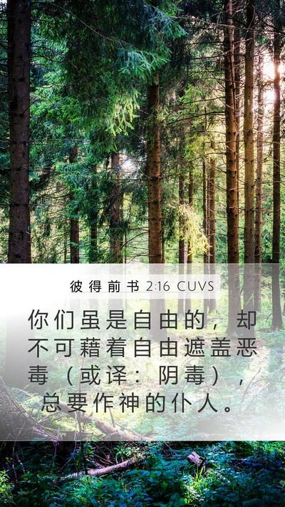 彼 得 前 书 2:16 CUVS Bible Verse Image