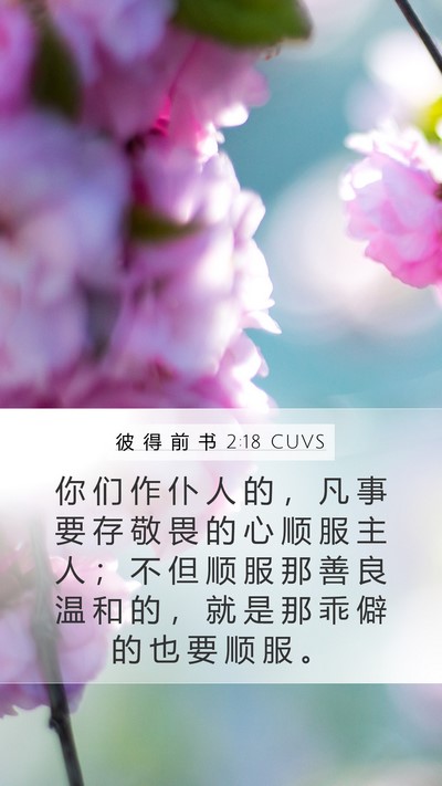 彼 得 前 书 2:18 CUVS Bible Verse Image