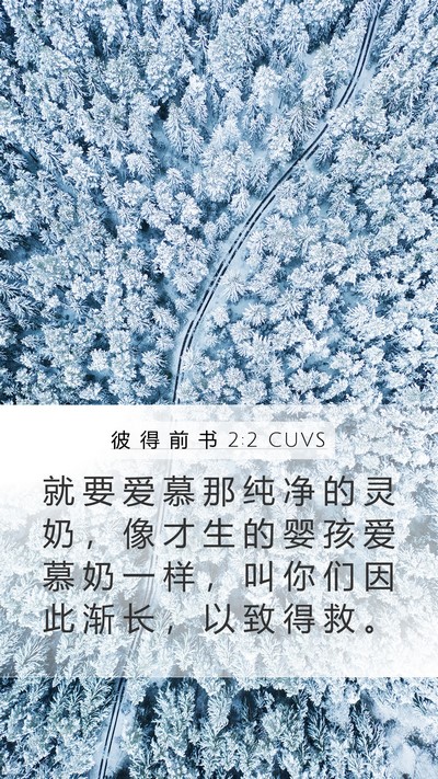 彼 得 前 书 2:2 CUVS Bible Verse Image