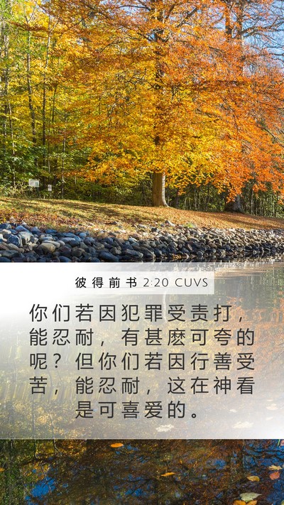 彼 得 前 书 2:20 CUVS Bible Verse Image