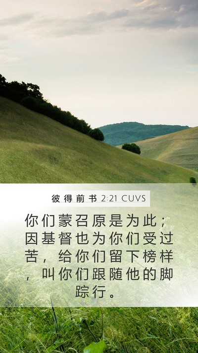 彼 得 前 书 2:21 CUVS Bible Verse Image