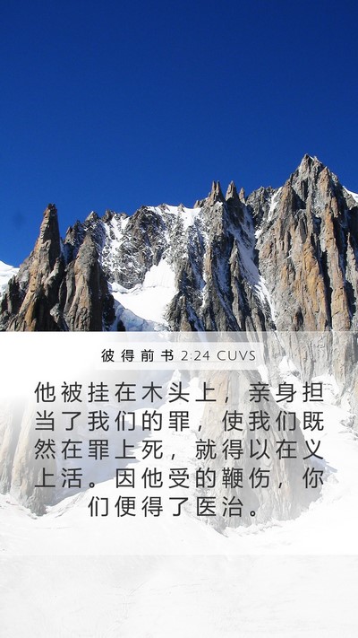 彼 得 前 书 2:24 CUVS Bible Verse Image